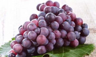 葡萄的产地 葡萄有哪几种品种