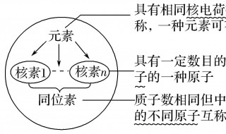 阳离子都带什么电荷（阳离子带什么电荷的离子）