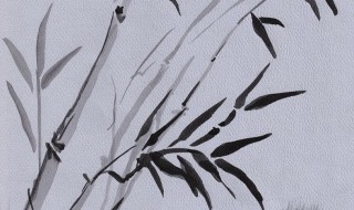 水墨画竹子的画法 水墨画竹子的画法简单