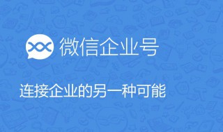 微信企业号功能介绍（微信企业号功能介绍自动创建群）