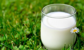 鲜牛奶怎么喝? 鲜牛奶怎么喝才正确方法