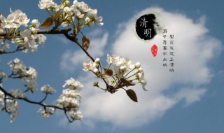 清明节2021年几月几号 清明节2021年几月几号清明节放假