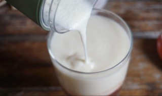 酸奶机制作脱脂酸奶的方法 酸奶机制作脱脂酸奶的方法有哪些