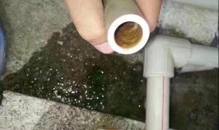 水管里面有绿苔怎么冲洗干净? 水管里面有绿苔怎样能清洗掉