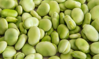 蚕豆是酸性食物还是碱性食物 蚕豆是不是碱性食物