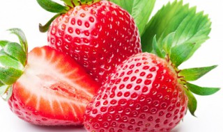 奶油草莓和普通草莓的区别 奶油草莓和普通草莓哪个好吃