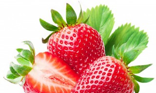 怎么种草莓苗 网购草莓苗买回来怎么种