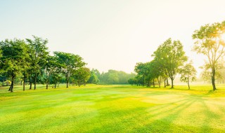 高尔夫球场面积多少亩 高尔夫球场面积一般多少亩