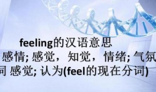 feeling什么意思（feelings什么意思）