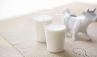鲜牛奶和纯牛奶哪个更有营养 长期喝鲜牛奶还是纯牛奶好