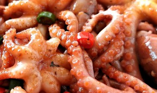 小章鱼怎么做好吃 小章鱼怎么做好吃又简单的家常做法