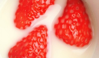 乳酸菌草莓饮品制作方法（草莓乳酸菌饮料）