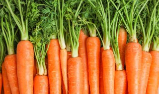 胡萝卜变质的表现 胡萝卜变质的表现图片