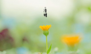 清明时节雨纷纷的纷纷什么意思 清明时节雨纷纷中纷纷如何解释