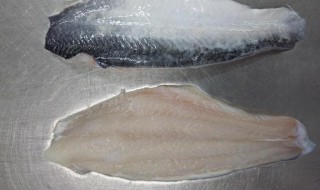 巴沙鱼和龙利鱼有什么区别 巴沙鱼和龙利鱼有什么区别吃多好吗