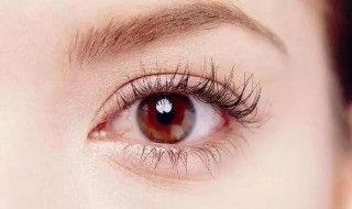护眼精油双眼皮的使用方法 护眼精油双眼皮的使用方法视频