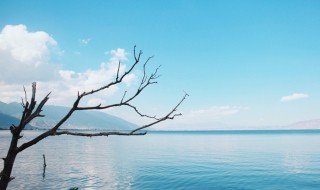 洱海在云南哪个城市（洱海在云南哪个城市的位置）