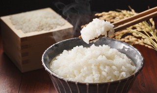 米饭碳水化合物含量 米饭碳水化合物含量100g