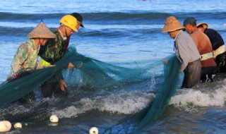 青海湖里有鱼吗 青海湖里有鱼吗图片