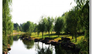 上海滨江森林公园好玩吗