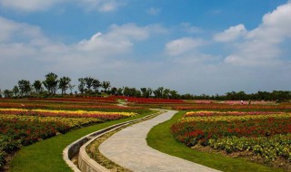 上海周浦公园是免费的吗 上海周浦公园是免费的吗多少钱