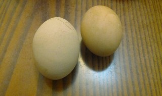 三月三吃鸡蛋是哪的习俗（三月三吃鸡蛋的民俗）