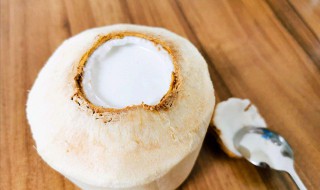椰子冰的做法步骤 怎么直接用椰子做冰糕