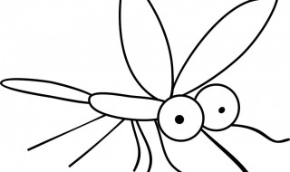 怎样最快引蚊子出来 蚊子最讨厌的6种气味