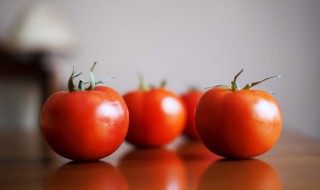 家庭西红柿种子育苗方法全过程（西红柿种子怎样育苗视频）