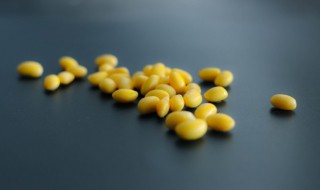 黄豆怎么做豆豉 黄豆怎么做豆豉好吃
