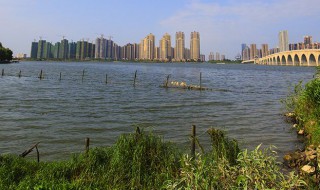 武汉为什么有那么多的湖（武汉为什么有那么多的湖泊）