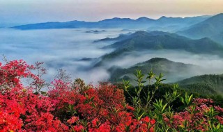 千里跃进大别山在哪 千里跃进大别山在哪能看