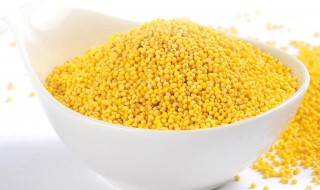 每天吃小黄米的危害 小米和黄米图片对比