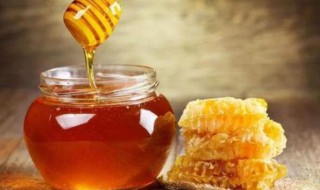 九龙藤蜂蜜的功效与作用 九龙藤蜂蜜的功效与作用百度百科