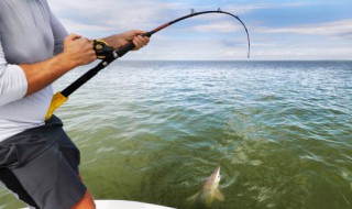 钓竿特别软怎么使用 钓鱼竿软的好,还是硬的好?
