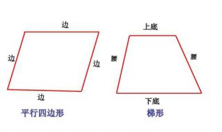 梯形的上底和下底怎样区分 梯形的上底和下底怎样区分?