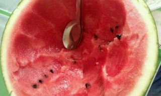 西瓜草莓果冻怎么做（西瓜草莓水果拼盘图片）