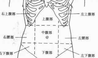 腹部九分法介绍（腹部九分法的根据及各区的名称）
