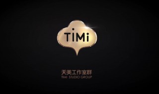 timi是什么意思 提米是什么意思哦