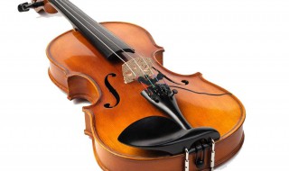 弓弦乐器包含什么乐器 弓弦乐器包括什么