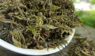 杜仲雄花茶一天喝多少（杜仲雄花茶一天喝多少为宜）