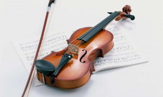 大提琴与小提琴的区别是什么 大提琴与小提琴的区别是什么意思