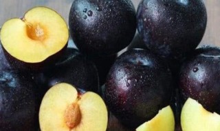 黑色的水果有哪些 黑色的水果有哪些东西