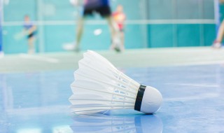 提高羽毛球耐力素质的运动方法