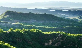 空气湿度多少为最佳（空气湿度多少为潮湿）