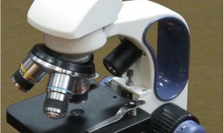 观察寄生虫显微镜使用方法 观察寄生虫显微镜使用方法视频