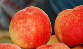 桃子屬于什么類型的水果 桃子屬于什么類型的水果類