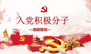 入党积极分子总结（入党积极的个人总结）