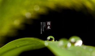 雨水节气的诗词 雨水节气的诗词都有哪首诗