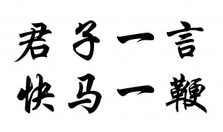 君子一言快马一鞭意思（君子一言快马一鞭的意思）